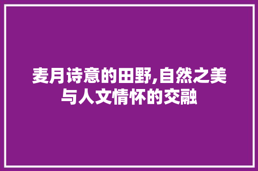麦月诗意的田野,自然之美与人文情怀的交融