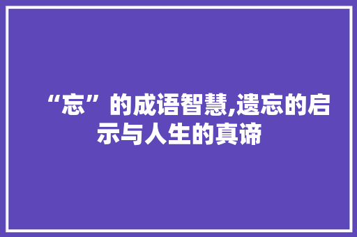 “忘”的成语智慧,遗忘的启示与人生的真谛