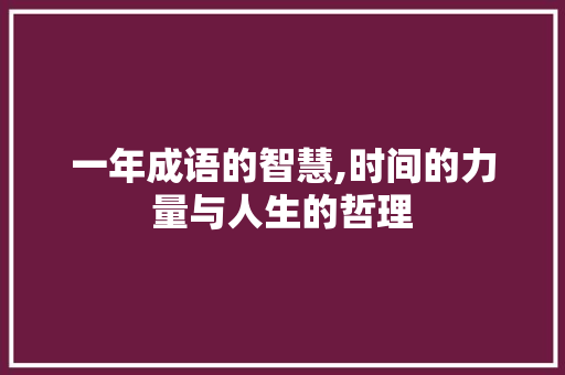 一年成语的智慧,时间的力量与人生的哲理