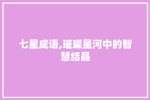 七星成语,璀璨星河中的智慧结晶