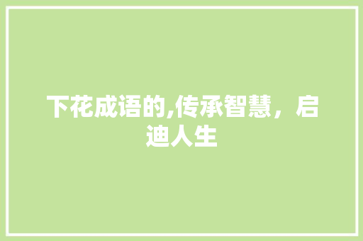 下花成语的,传承智慧，启迪人生
