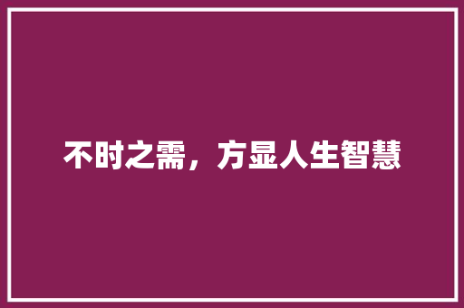 不时之需，方显人生智慧