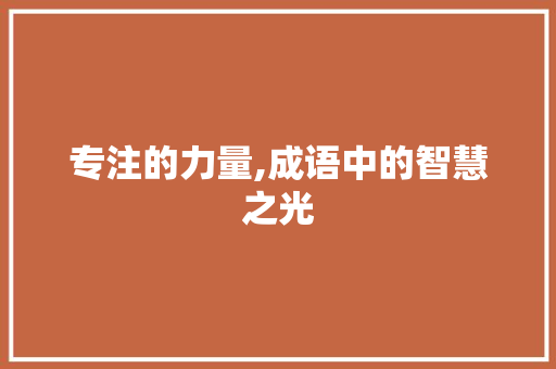 专注的力量,成语中的智慧之光