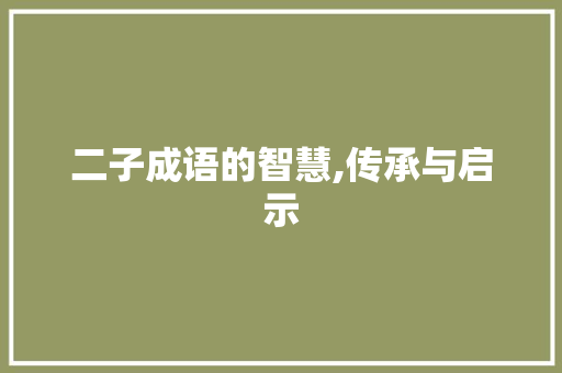二子成语的智慧,传承与启示