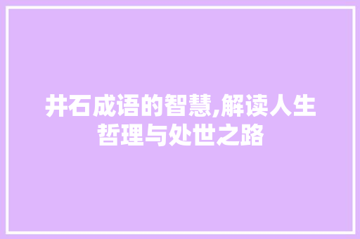井石成语的智慧,解读人生哲理与处世之路