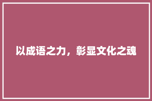 以成语之力，彰显文化之魂