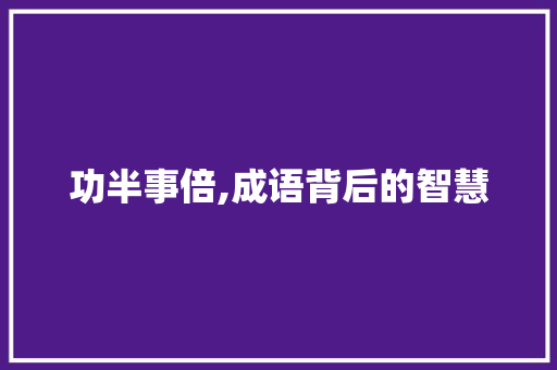 功半事倍,成语背后的智慧