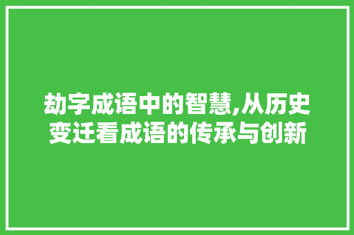 劫字成语中的智慧,从历史变迁看成语的传承与创新