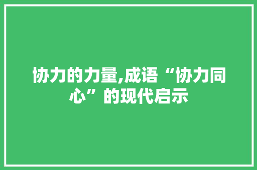 协力的力量,成语“协力同心”的现代启示