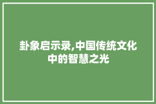 卦象启示录,中国传统文化中的智慧之光