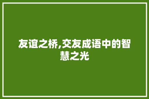 友谊之桥,交友成语中的智慧之光