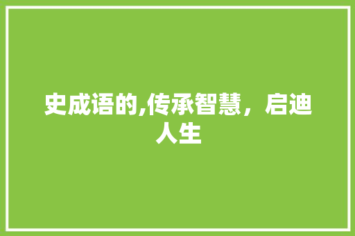 史成语的,传承智慧，启迪人生