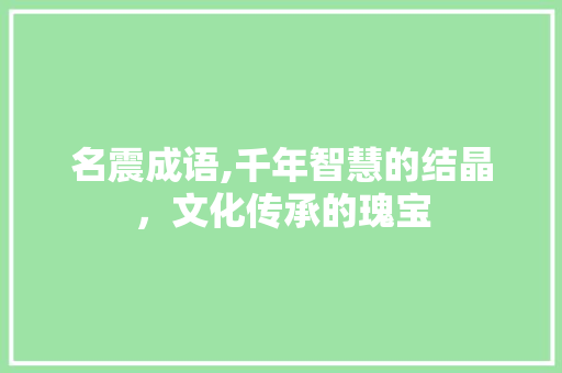 名震成语,千年智慧的结晶，文化传承的瑰宝