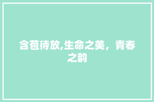 含苞待放,生命之美，青春之韵
