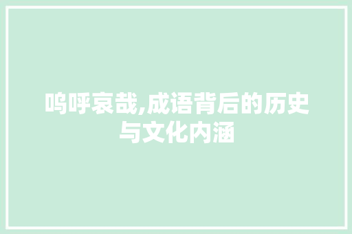 呜呼哀哉,成语背后的历史与文化内涵