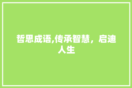 哲思成语,传承智慧，启迪人生