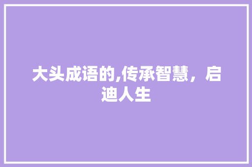 大头成语的,传承智慧，启迪人生