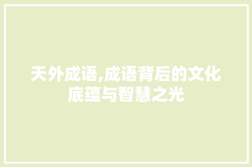 天外成语,成语背后的文化底蕴与智慧之光