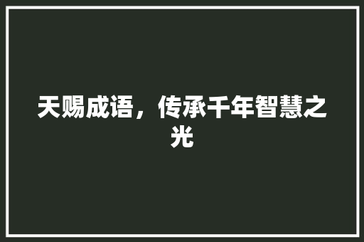 天赐成语，传承千年智慧之光