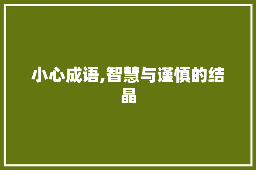 小心成语,智慧与谨慎的结晶