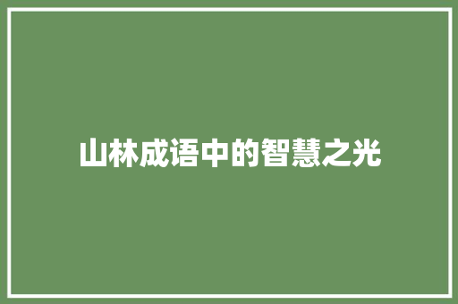 山林成语中的智慧之光