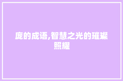 庞的成语,智慧之光的璀璨照耀