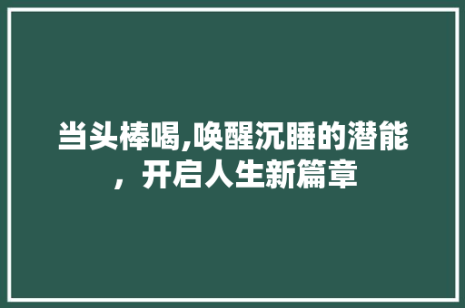 当头棒喝,唤醒沉睡的潜能，开启人生新篇章