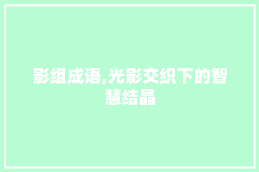 影组成语,光影交织下的智慧结晶