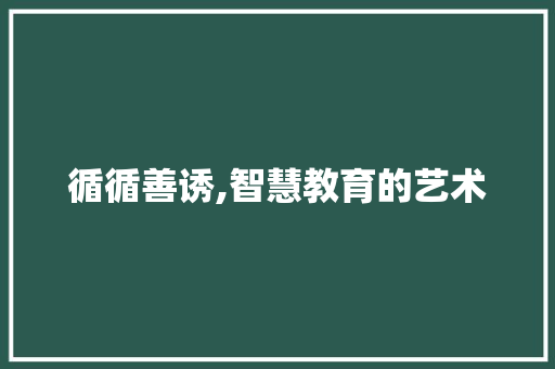 循循善诱,智慧教育的艺术