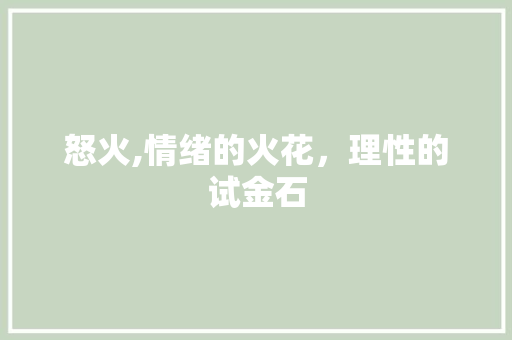 怒火,情绪的火花，理性的试金石