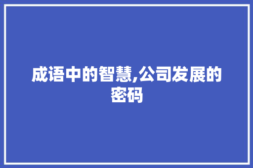 成语中的智慧,公司发展的密码