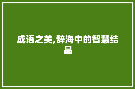成语之美,辞海中的智慧结晶