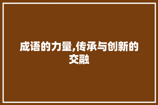 成语的力量,传承与创新的交融