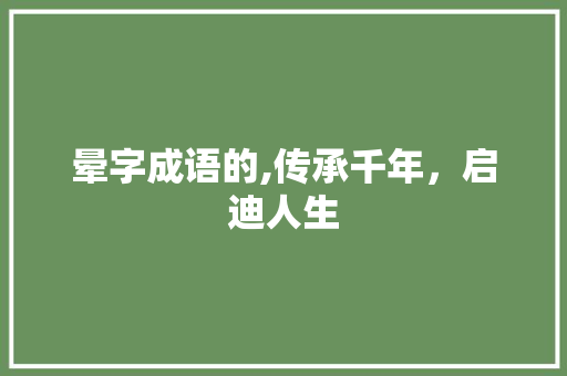 晕字成语的,传承千年，启迪人生