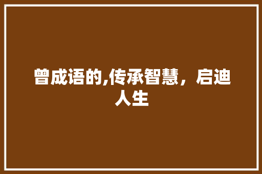 曾成语的,传承智慧，启迪人生