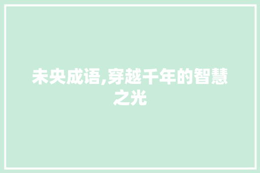未央成语,穿越千年的智慧之光