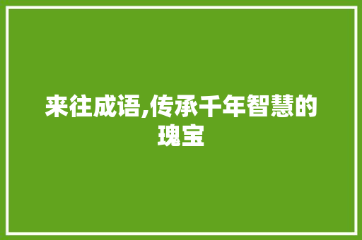 来往成语,传承千年智慧的瑰宝