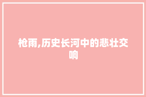 枪雨,历史长河中的悲壮交响