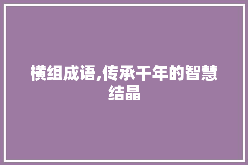 横组成语,传承千年的智慧结晶