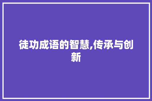 徒功成语的智慧,传承与创新