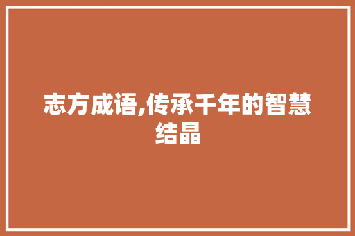 志方成语,传承千年的智慧结晶