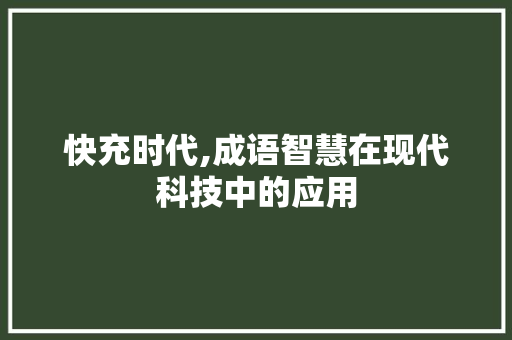 快充时代,成语智慧在现代科技中的应用