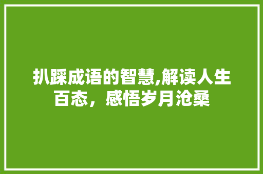 扒踩成语的智慧,解读人生百态，感悟岁月沧桑