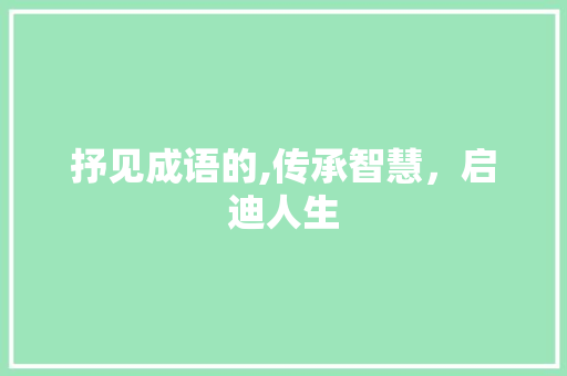 抒见成语的,传承智慧，启迪人生