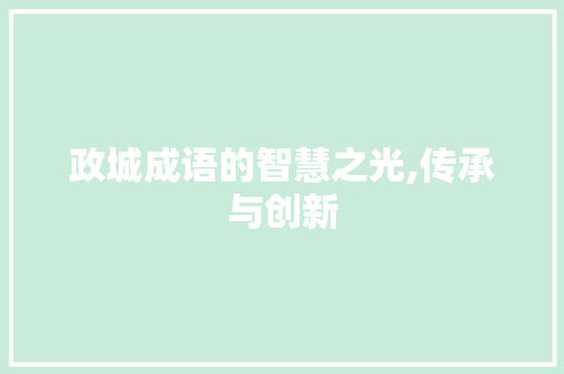 政城成语的智慧之光,传承与创新