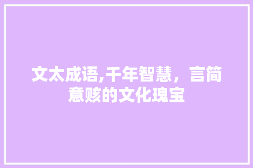 文太成语,千年智慧，言简意赅的文化瑰宝
