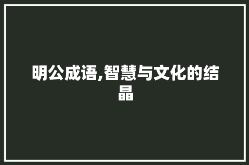 明公成语,智慧与文化的结晶