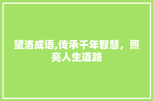 望洛成语,传承千年智慧，照亮人生道路