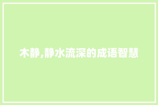 木静,静水流深的成语智慧