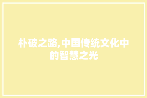 朴破之路,中国传统文化中的智慧之光